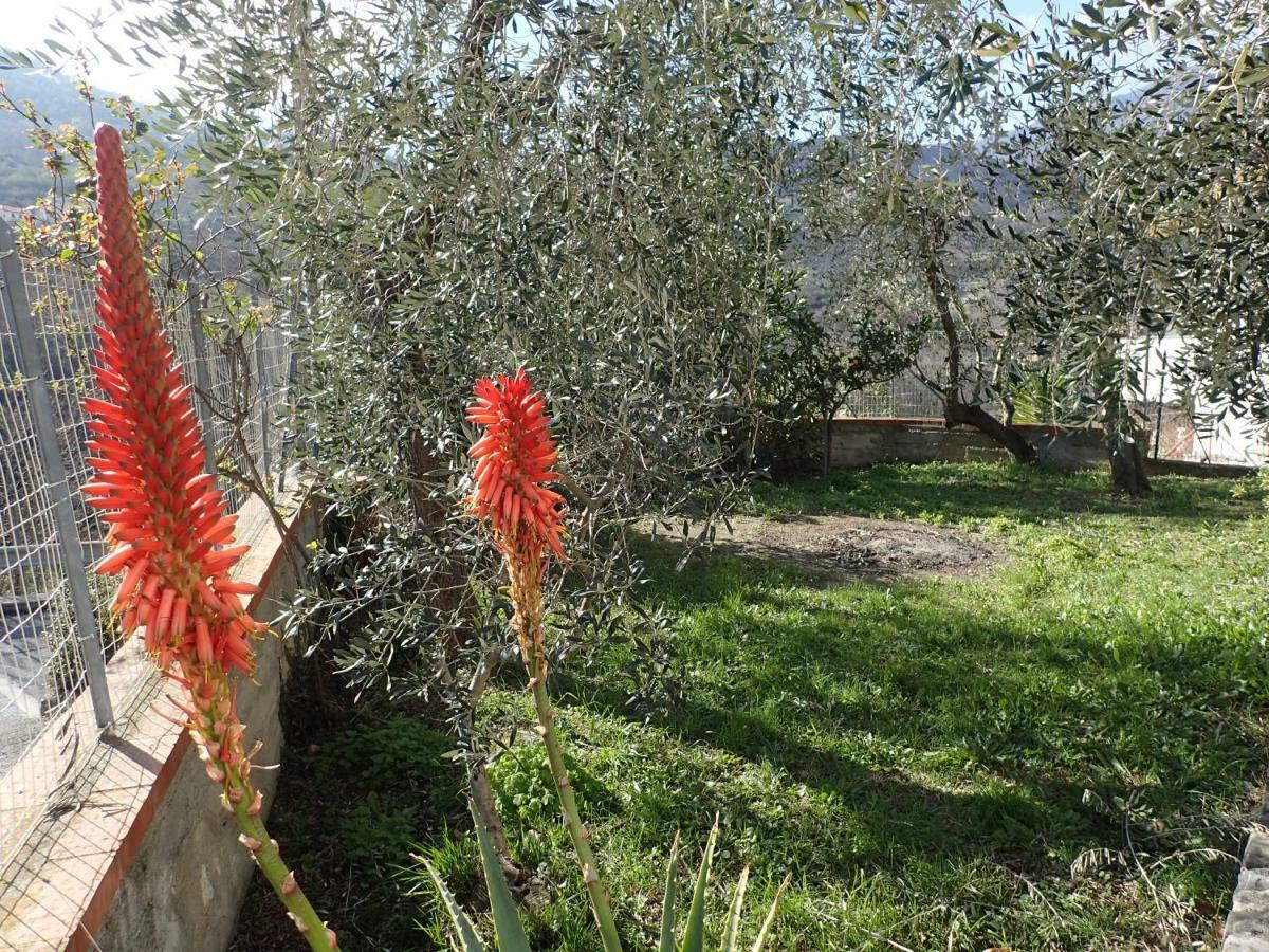 Casetta tra gli Ulivi vicina al Mare Giustenice Esterno foto